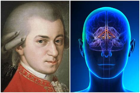 Embryonic Mozart Magic: The Gateway to Exceptional Musical Talent